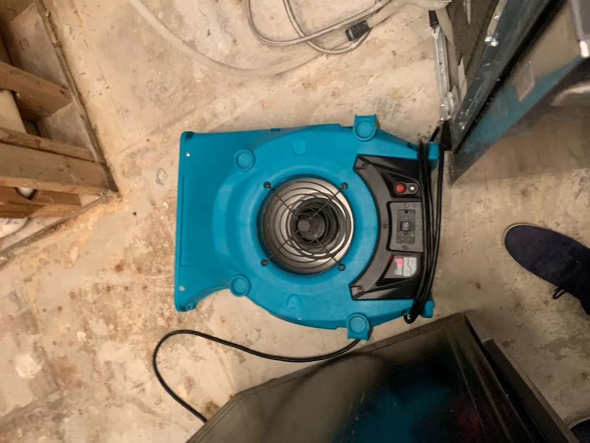 Air mover drying equipment for Mold Remediation & Removal in Twinsburg